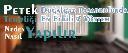 İzmir Petek Temizleme